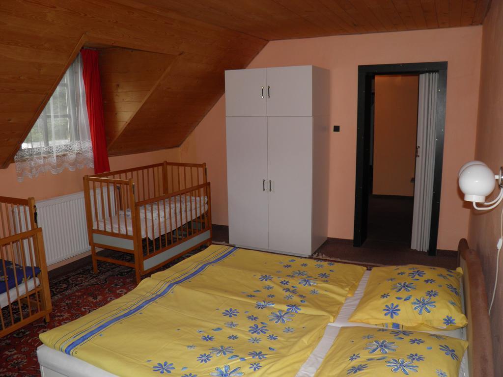 Pension Lipa Horní Maršov 객실 사진